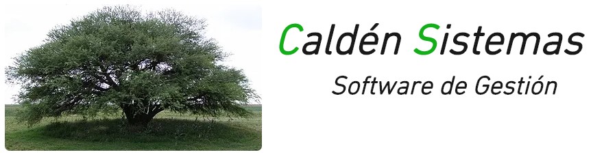 Caldensistemas.com.ar
